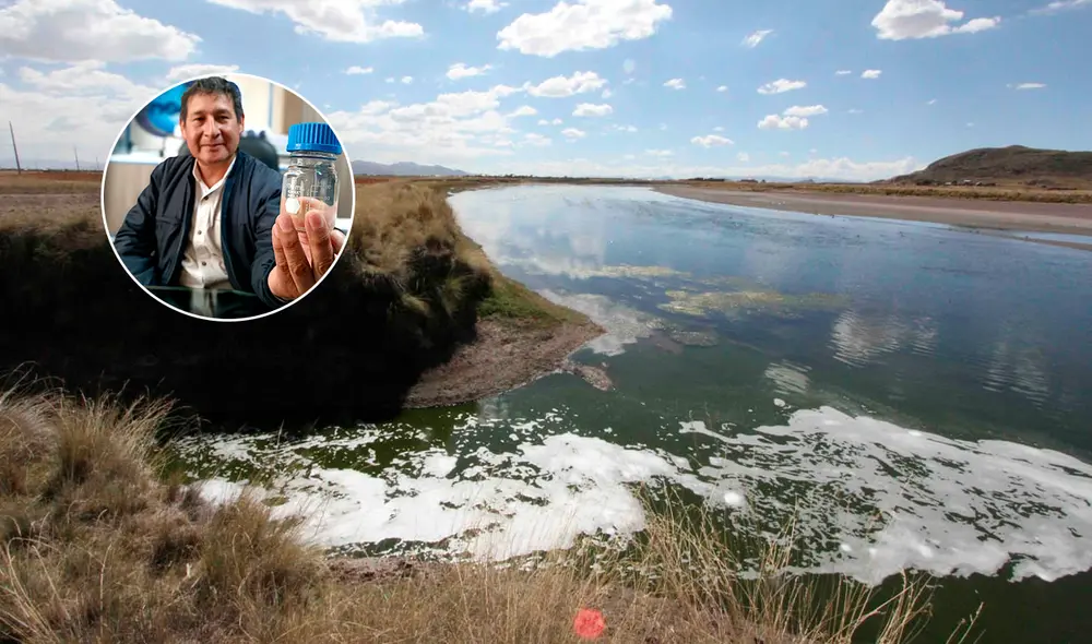 Aproximadamente 80 mil unidades de coliformes se extraen del lago. Créditos: Liubomir Fernández / La República. Aproximadamente 80 mil unidades de coliformes se extraen del lago. Créditos: Liubomir Fernández / La República.