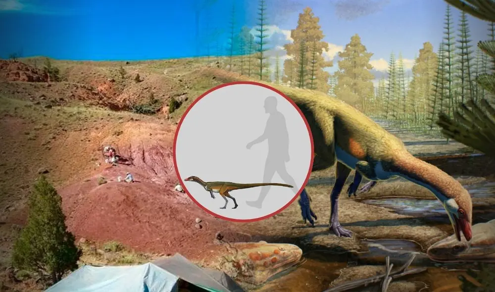 Hallazgo fósil pone en debate el origen de los dinosaurios: científicos encuentran el más antiguo de Laurasia y tenía el tamaño de un pollo. Foto: composición LR/UW Geology Museum/Sci.News.