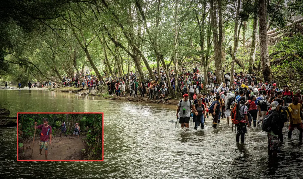 La selva del Darién es uno de los lugares más inhóspitos del planeta. Foto: composición LR/Primicias/Médicos Sin Fronteras La selva del Darién es uno de los lugares más inhóspitos del planeta. Foto: composición LR/Primicias/Médicos Sin Fronteras