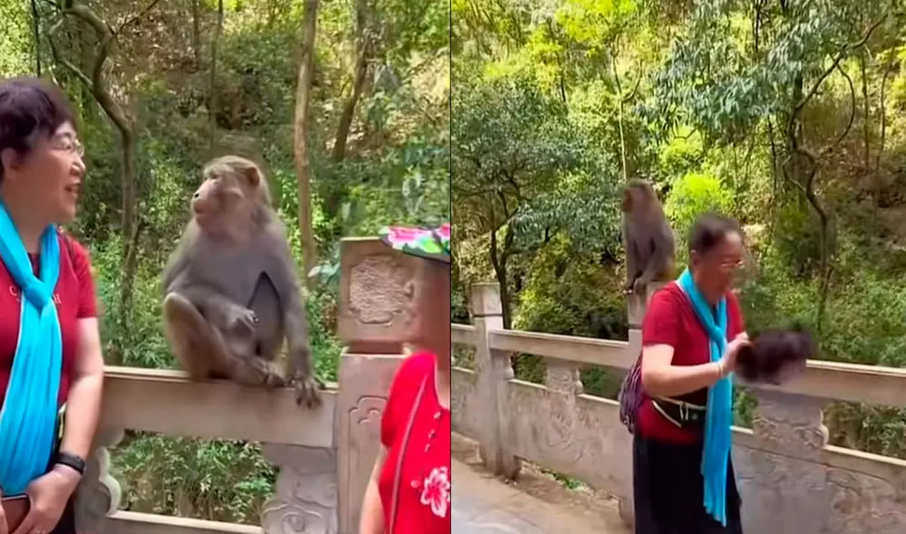 Video tiene miles de vistas en la plataforma. Foto: captura de TikTok/@elespanolcom