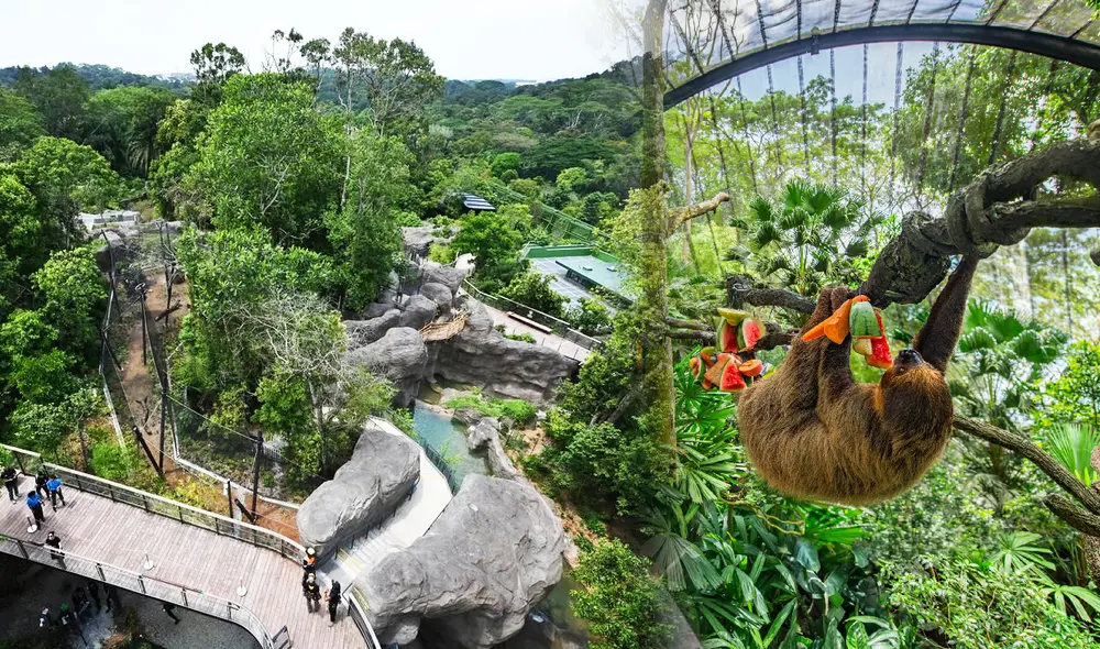 Este es el zoológico más grande del mundo y cuenta con diversas especies en peligro de extinción. Foto: composición LR/Thrillophilia/The Straits Times