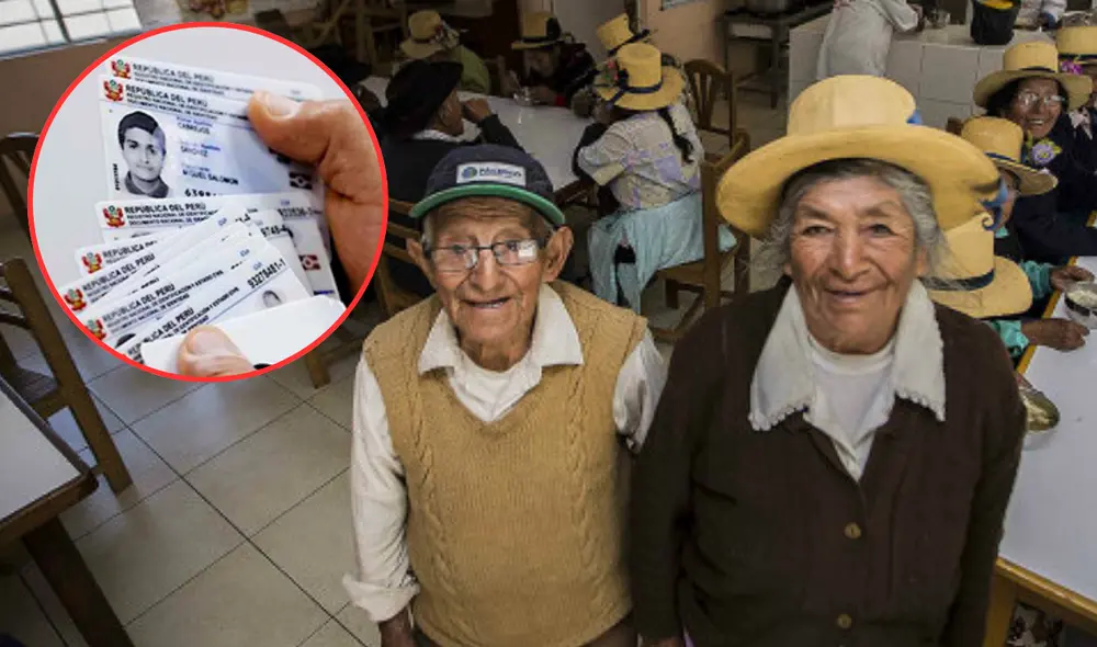 Conoce el requisito que adultos mayores deben cumplir para recibir el DNI sin fecha de caducidad. Foto: composición LR/Defensoría del Pueblo/Andina