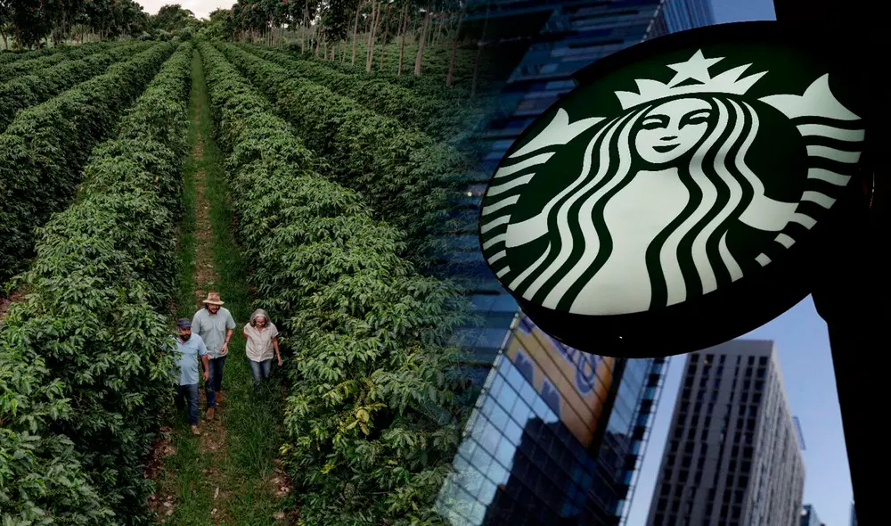 Los trabajadores de Starbucks Brasil demandan las extenuantes jornadas laborales y retrasos de pagos. Foto: composición LR/Jazmin Ceras/Difusión