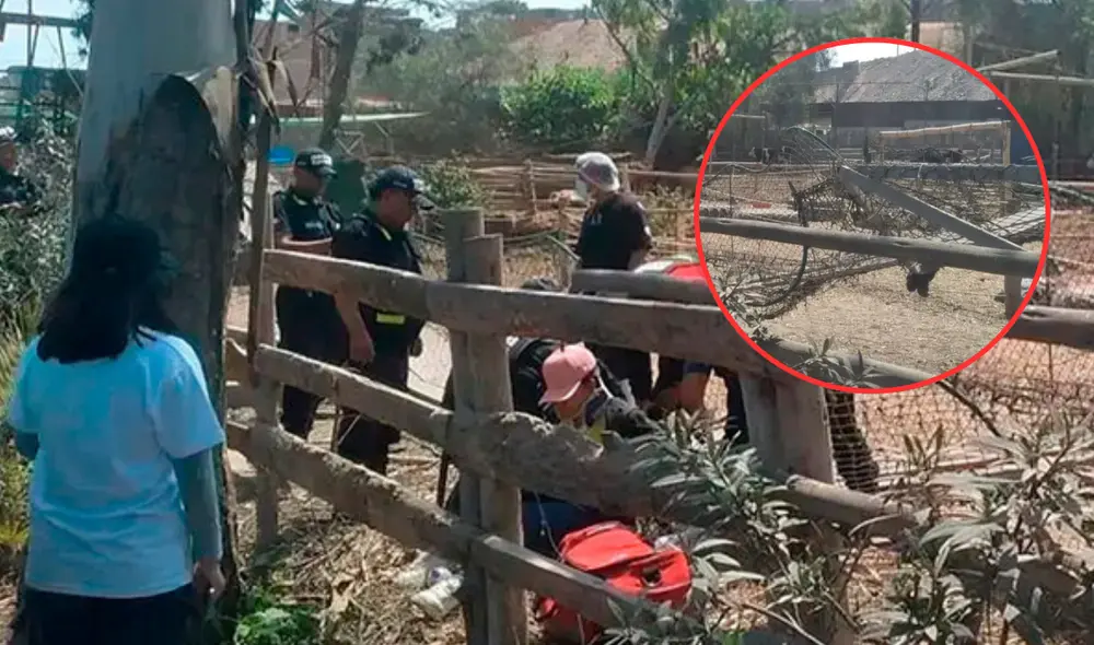 Padres de familia resultan heridos en centro recreativo tras colapso de un puente. Foto: composición LR / captura RPP