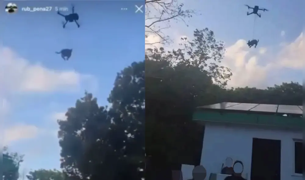 Jóvenes en Xul-Ha, Quintana Roo, México, fueron captados en video elevando a más de tres metros a un perro, mediante un dron. Foto: X (@YoAmoaLaCiencia)