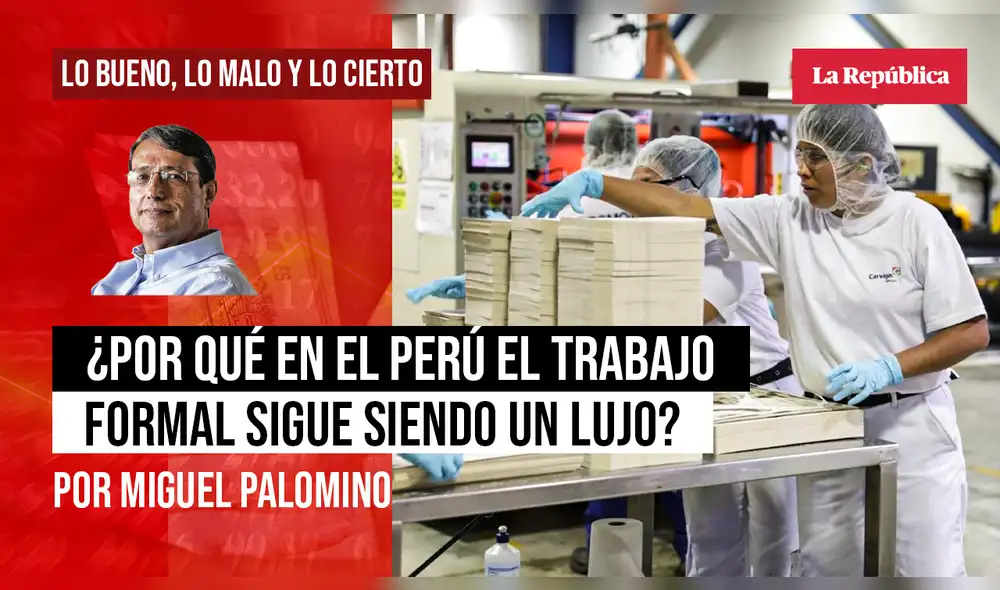 miguel palomino
