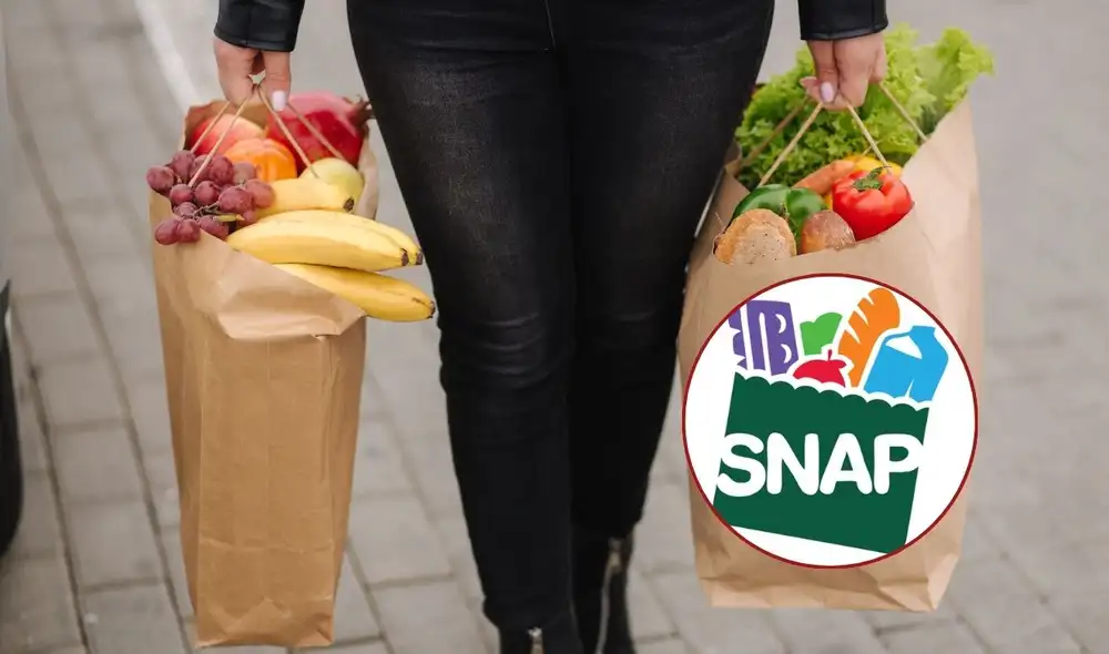 El Programa de Asistencia Nutricional Suplementaria (SNAP) en Texas ofrece apoyo vital para la compra de alimentos. En mayo de 2025, los pagos se realizarán entre el 1 y el 28, según el grupo de elegibilidad. Foto: composición LR/Canva/SNAP.