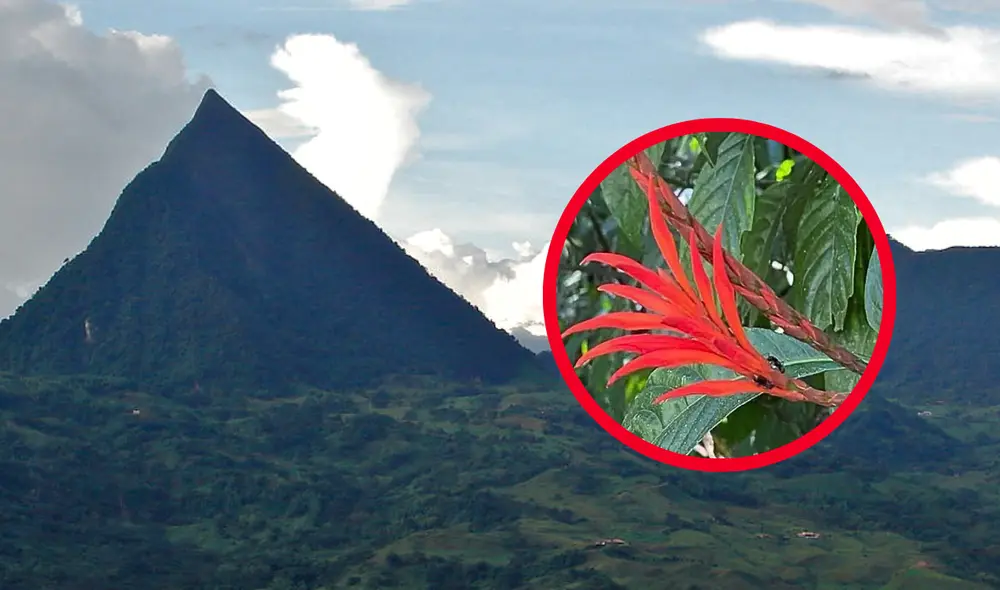 Con la propuesta de convertir el Cerro Tusa en un parque natural, se busca preservar su riqueza biológica y cultural, aunque aún persisten amenazas como la deforestación y el cambio climático. Foto: composición LR