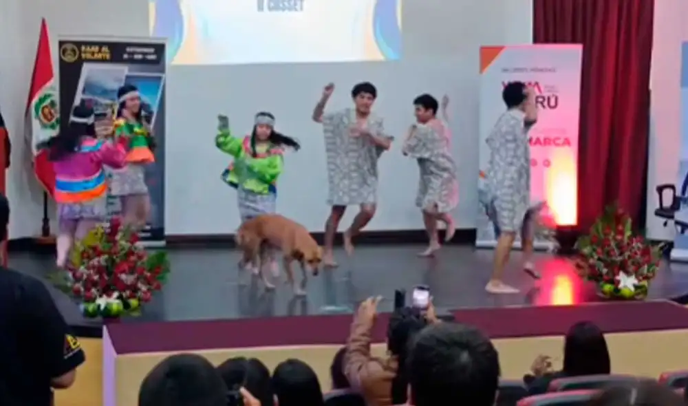 El video tiene miles de vistas y likes. Foto: captura de TikTok/@richardherrera4200