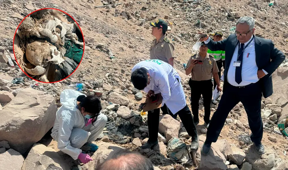 Restos corresponderían al periodo intermedio tardío. Créditos: cortesía. Restos corresponderían al periodo intermedio tardío. Créditos: cortesía.