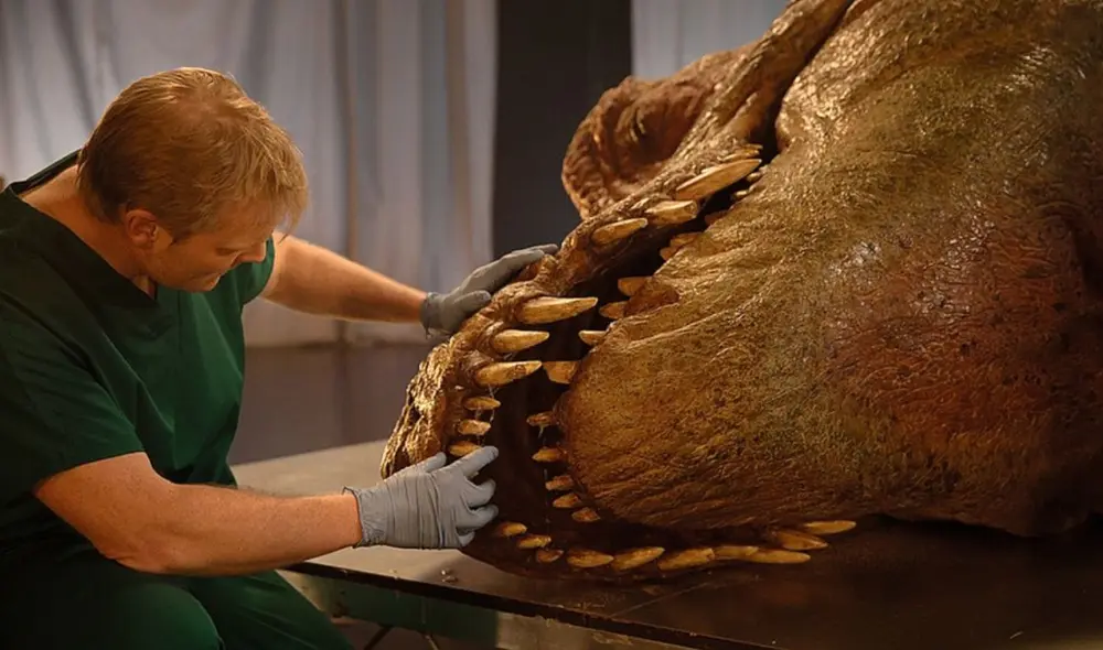 El proyecto se fundamenta en la extracción de colágeno de un fósil de T. Rex. Foto: Live science El proyecto se fundamenta en la extracción de colágeno de un fósil de T. Rex. Foto: Live science