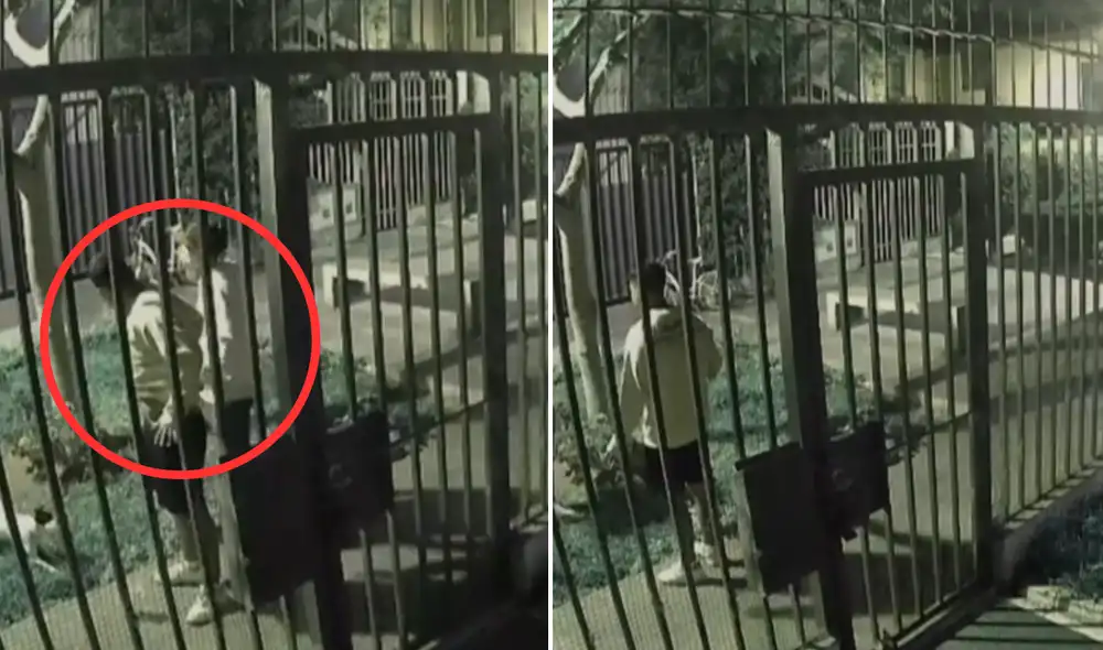 Asaltan a joven mientras paseaba a su perro: ladrón se tomó el tiempo de pedirle las contraseñas de su celular. Foto: composición LR / captura RPP Asaltan a joven mientras paseaba a su perro: ladrón se tomó el tiempo de pedirle las contraseñas de su celular. Foto: composición LR / captura RPP