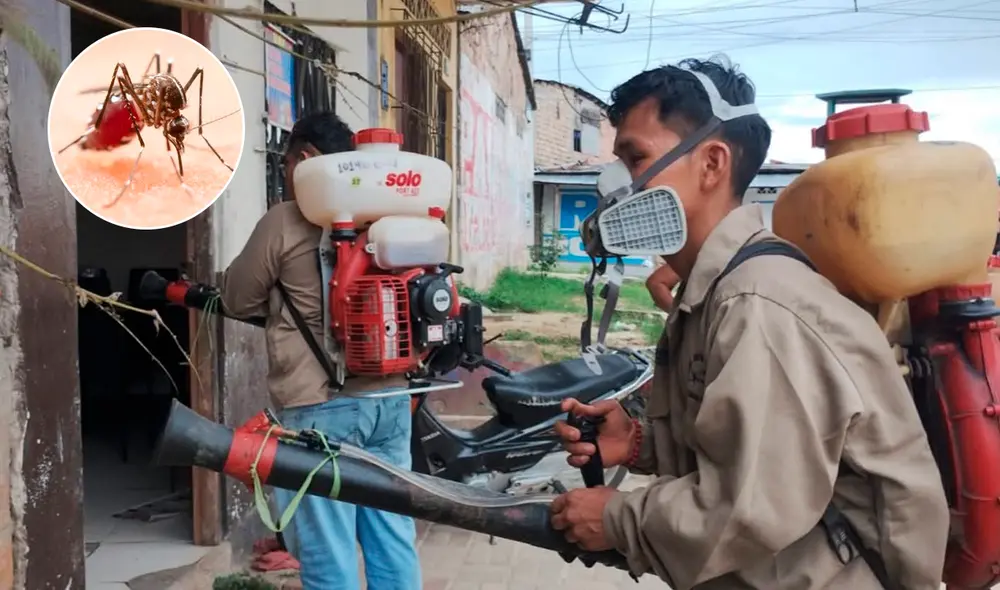 Dengue: 809 casos en Loreto son con signos de alarma, informó Geresa.