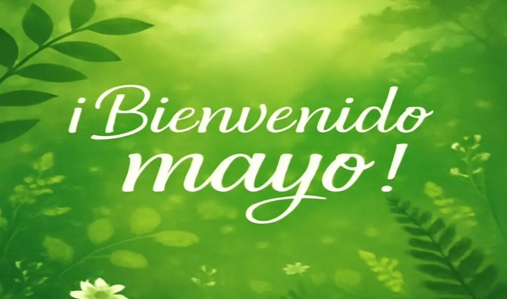 Comparte bonitas frases y reflexiones para iniciar el mes de mayo 2025. Foto: Composición LR/IA.