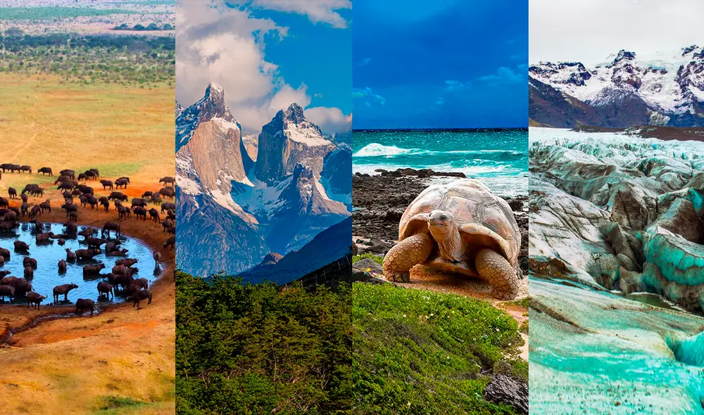 Uno de los parques más importantes del mundo según TripAdvisor está en Ecuador. Foto: composición LR/Jazmin Ceras/TripAdvisor Uno de los parques más importantes del mundo según TripAdvisor está en Ecuador. Foto: composición LR/Jazmin Ceras/TripAdvisor