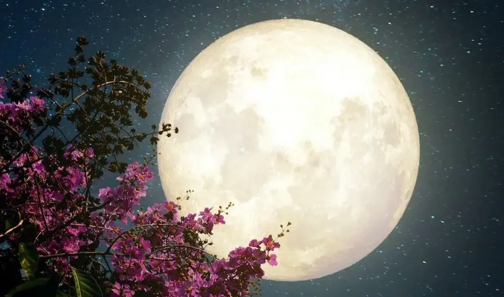 En mayo se podrá apreciar la Luna llena de las flores que se apreciará más pequeña debido a su ubicación. Foto: IStock En mayo se podrá apreciar la Luna llena de las flores que se apreciará más pequeña debido a su ubicación. Foto: IStock