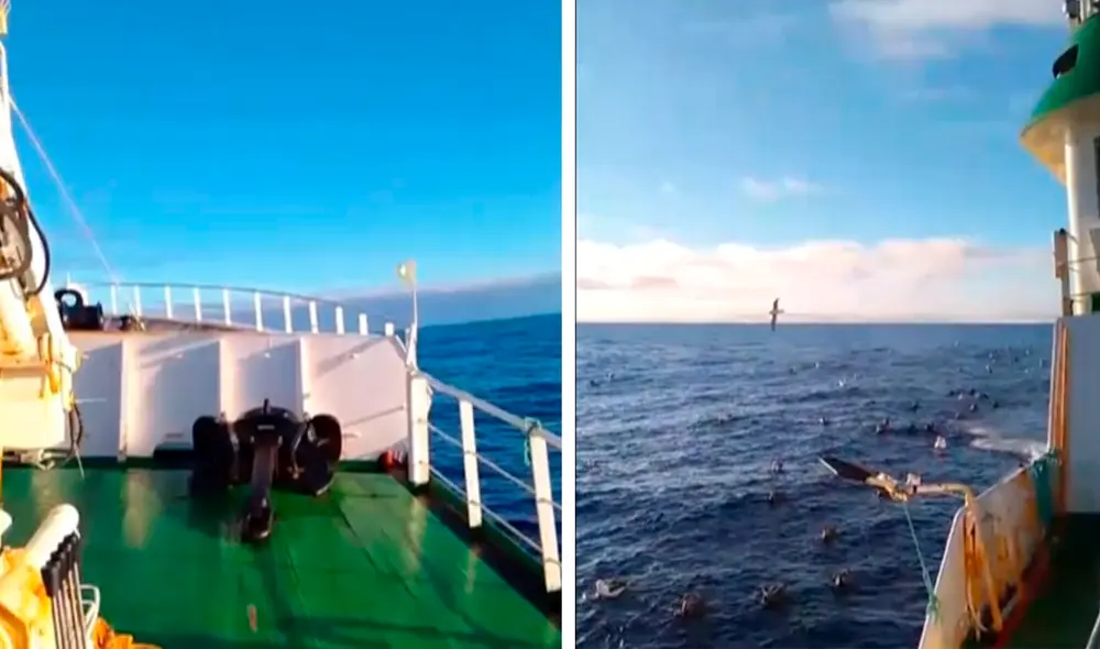 El terremoto en Chile ocurrió cerca a las 9.00 a. m. Foto: composición LR/Bio Bio El terremoto en Chile ocurrió cerca a las 9.00 a. m. Foto: composición LR/Bio Bio