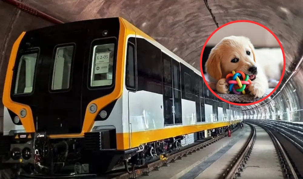 Mascotas podrán viajar en la Líne 2 del Metro de Lima. Foto: composición LR Mascotas podrán viajar en la Líne 2 del Metro de Lima. Foto: composición LR