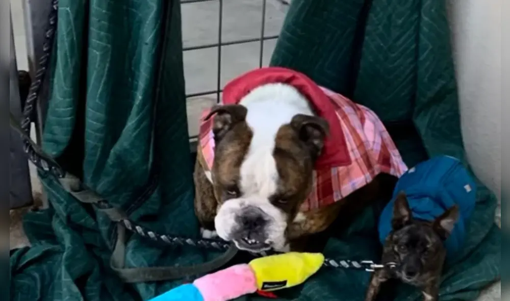 El reencuentro entre Rome y su familia conmovió al país entero. El reencuentro entre Rome y su familia conmovió al país entero.