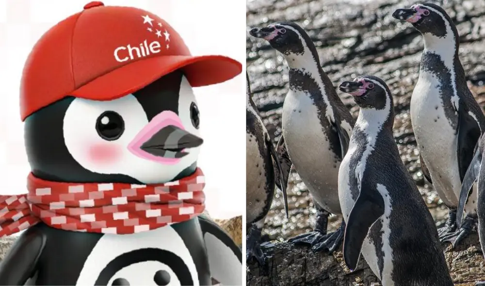 La Exposición Universal Osaka 2025 da la bienvenida a Chiri-Chan, un pingüino de Humboldt que representará a Chile. Foto: Difusión La Exposición Universal Osaka 2025 da la bienvenida a Chiri-Chan, un pingüino de Humboldt que representará a Chile. Foto: Difusión