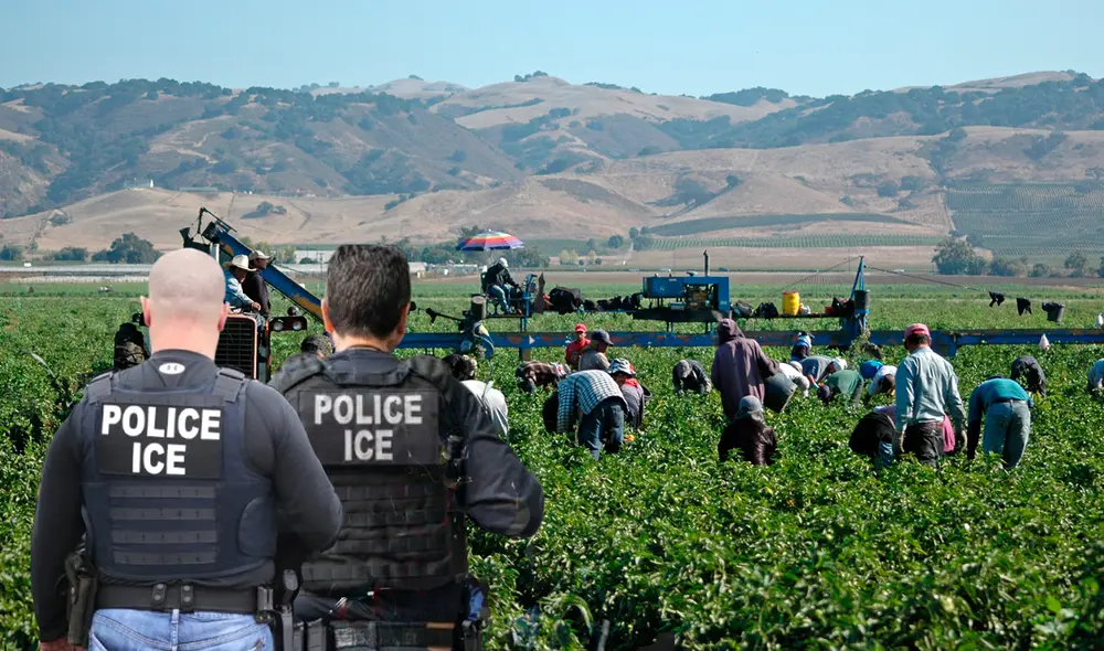 Agentes de ICE llevaron a cabo una redada migratoria en Nueva York contra trabajadores agrícolas de Lynn-Ette & Sons Farms.