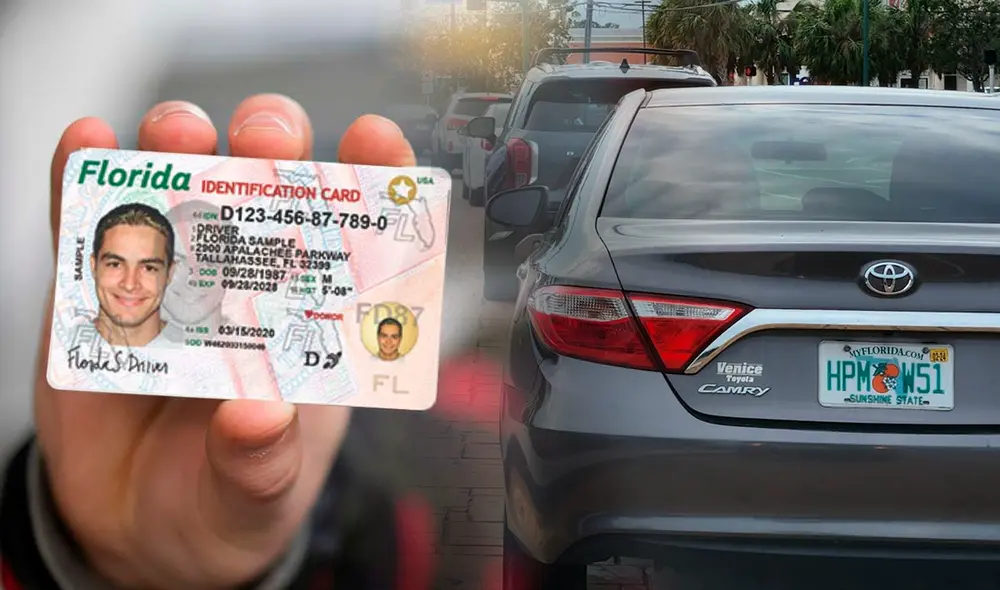 El FLHSMV en Florida obliga a ciertos conductores a renovar la licencia de conducir al año. El FLHSMV en Florida obliga a ciertos conductores a renovar la licencia de conducir al año.