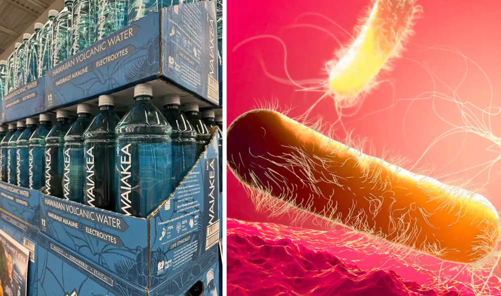 Más de 4 mil cajas de agua embotellada de la marca Waiakea han sido retiradas del mercado tras la detección de contaminación bacteriana. Foto: composición LR/ Waikea Más de 4 mil cajas de agua embotellada de la marca Waiakea han sido retiradas del mercado tras la detección de contaminación bacteriana. Foto: composición LR/ Waikea