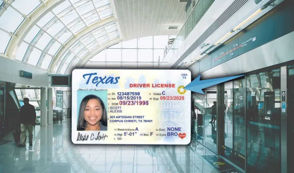 El DHS requiere el Real ID a partir del 7 de mayo de 2025 para vuelos nacionales. Los inmigrantes también están sujetos a la ley. Foto: Pixabay/Kris 6 News