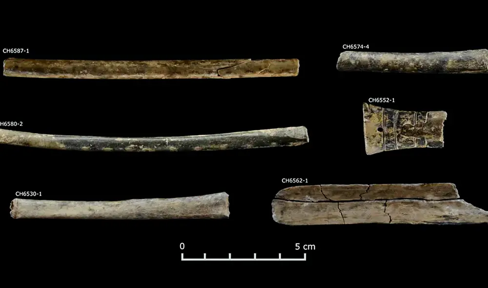 Análisis adicionales mostraron artefactos que contenían raíces de especies silvestres de nicotiana, además de semillas y hojas de vilca. Foto: Giuseppe Alva Valverde.