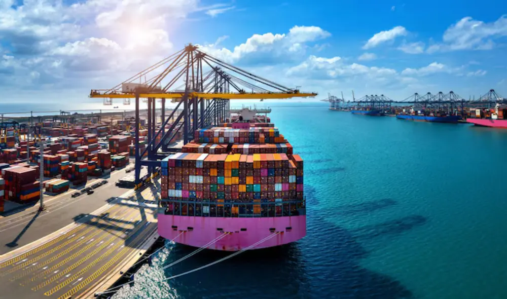 Los principales importadores son Estados Unidos, China y Japón, que valorizan su bajo costo y beneficios nutricionales. Foto: Freepik Los principales importadores son Estados Unidos, China y Japón, que valorizan su bajo costo y beneficios nutricionales. Foto: Freepik