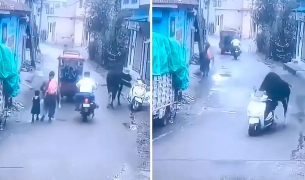 Suceso fue grabado por una cámara de seguridad en la India. Foto: captura de TikTok/@elespanolcom