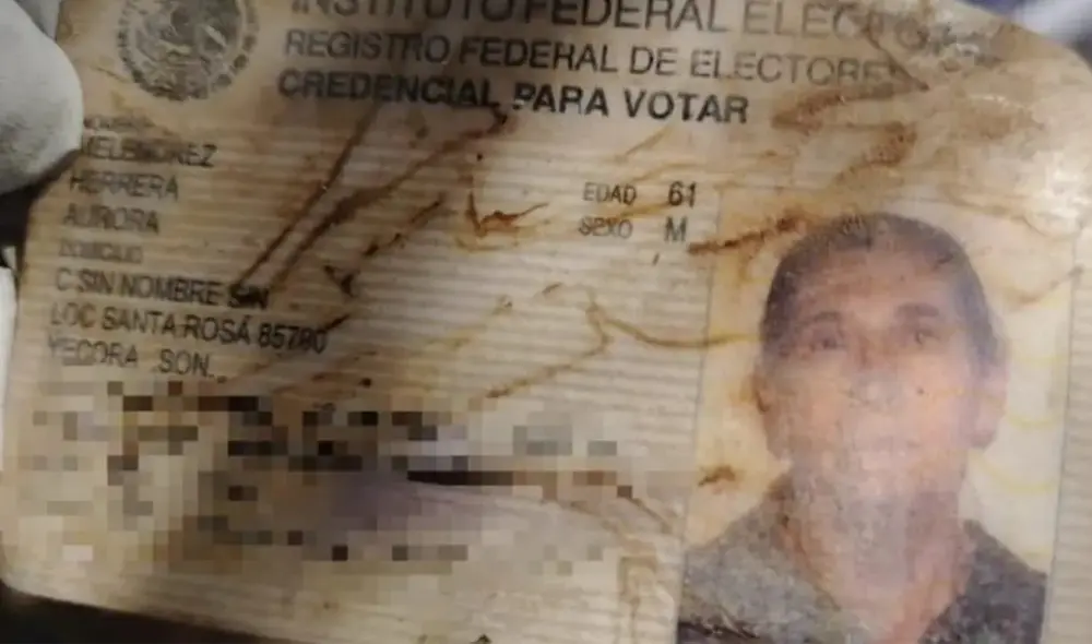 El colectivo ha realizado importantes hallazgos y visibiliza la dura realidad de muchas familias que enfrentan la indiferencia institucional en su búsqueda. Foto: MBS/Facebook