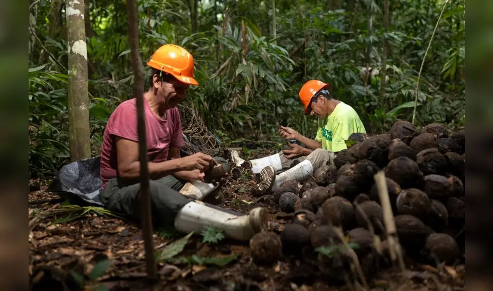Ayuda para el desarrollo de la comunidad. Fuente: Difusión
