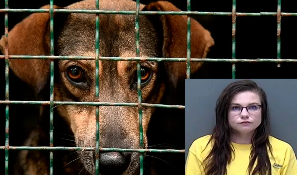 Krondak enfrenta una posible condena de 26 años de prisión por tortura animal en Minnesota.