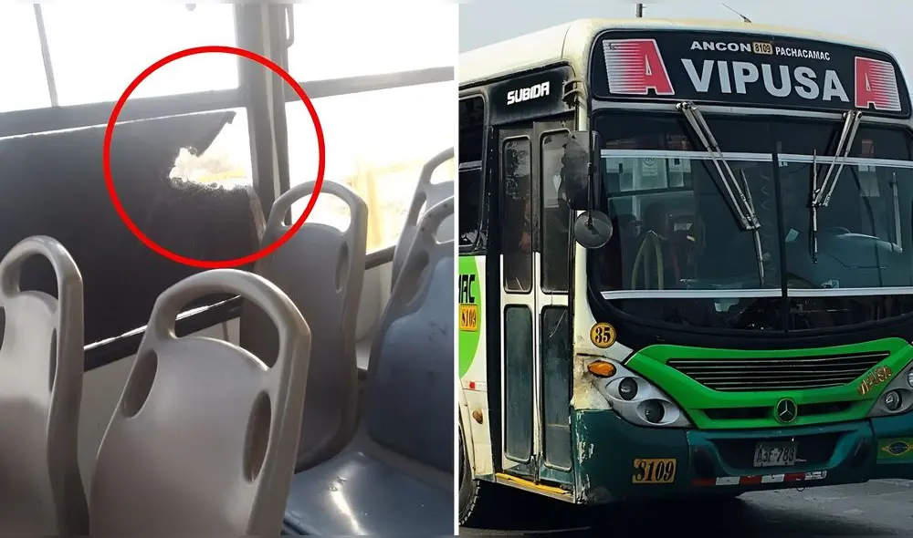 El vehículo se encontraba transitando por la Vía de Evitamiento, en la ruta Ancón - Pachacamac. Foto: Composición LR