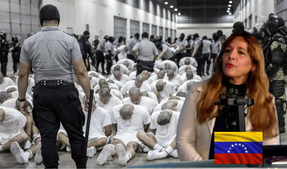 La jefa del Plan Vuelta a la Patria denunció que los inmigrantes venezolanos sufren tortura psicológica en los vuelos de deportación. La jefa del Plan Vuelta a la Patria denunció que los inmigrantes venezolanos sufren tortura psicológica en los vuelos de deportación.