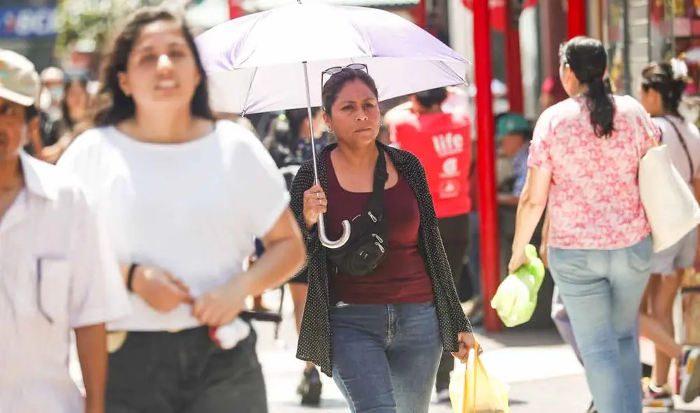 Un total de 11 distritos de Lima son los más afectados por pérdida de áreas verdes e incremento de temperatura, según estudio. Foto: Andina
