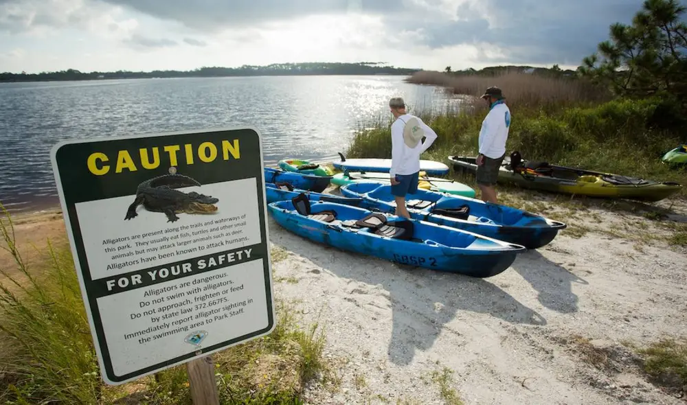 Una mujer murió cuando un caimán volcó su canoa y la arrastró al lago Kissimmee en Florida.
