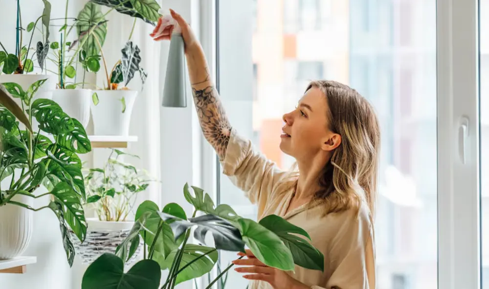 El apego a las plantas puede reflejar rasgos de personalidad como la sensibilidad y la necesidad de crear un refugio seguro. Foto: GettyImages El apego a las plantas puede reflejar rasgos de personalidad como la sensibilidad y la necesidad de crear un refugio seguro. Foto: GettyImages