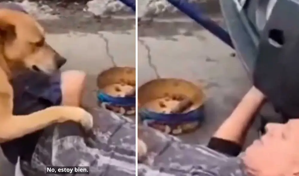 Video tiene miles de vistas en la plataforma. Foto: captura de TikTok/@elespanolcom