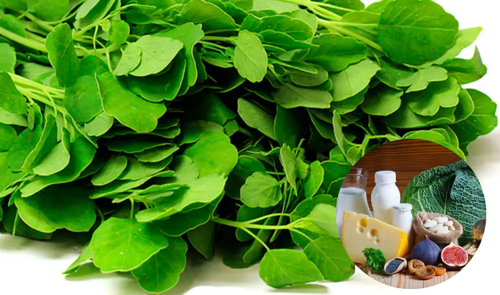 El pápalo no se considera únicamente un ingrediente versátil en las preparaciones culinarias, sino que también se pueden destacar ciertos beneficios para la salud relacionados con su consumo. Foto: FreePik