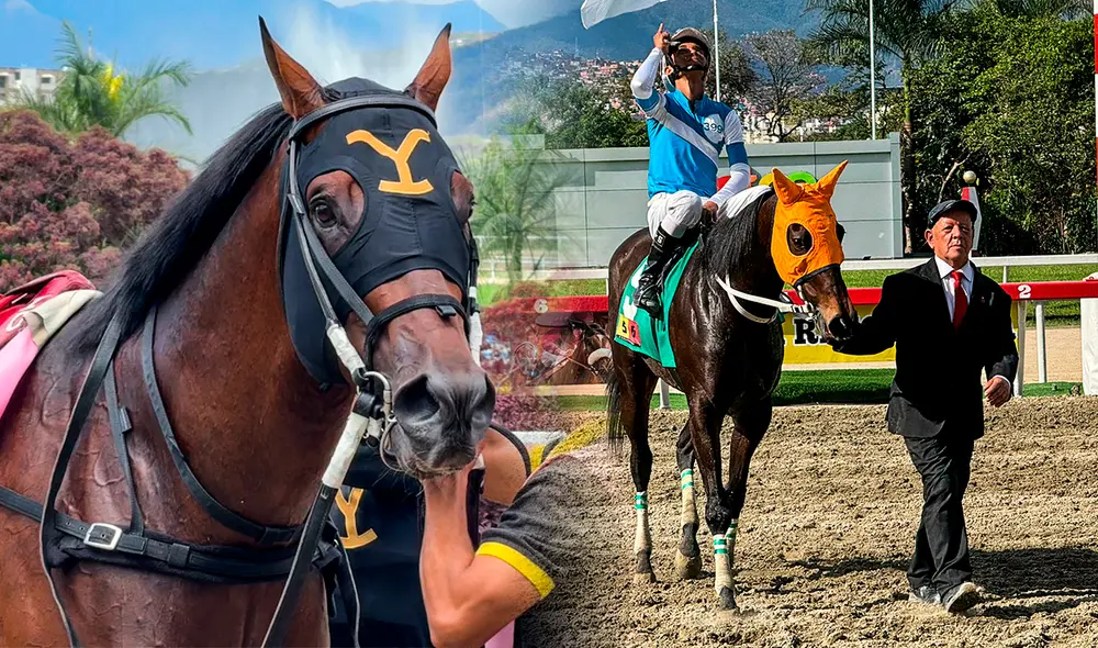 Gaceta Hípica ya publicó sus favoritos para el 5y6 de La Rinconada. Foto: composición LR/INH Gaceta Hípica ya publicó sus favoritos para el 5y6 de La Rinconada. Foto: composición LR/INH