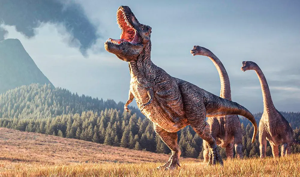 El Tyrannosaurus rex habitó la Tierra entre 67 y 66 millones de años atrás, durante el Cretácico Superior. Foto: Orla/Wired. El Tyrannosaurus rex habitó la Tierra entre 67 y 66 millones de años atrás, durante el Cretácico Superior. Foto: Orla/Wired.