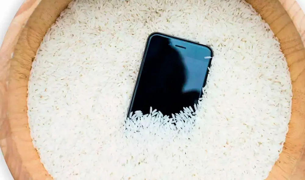 El arroz no absorve la humedad al 100%. Foto: Movilzona