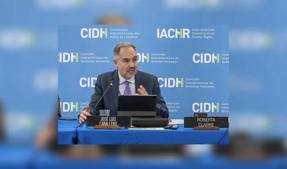 Presidente de la CIDH, José Luis Caballero, señala que la Comisión está evaluando la ley anti-ONG Presidente de la CIDH, José Luis Caballero, señala que la Comisión está evaluando la ley anti-ONG