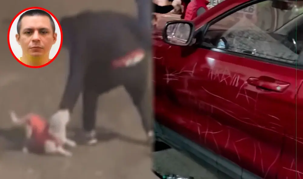 La población exige que le caiga todo el peso de la ley a Luis Lozano por matar a una perrita en Trujillo. Foto: composición LR/ TikTok