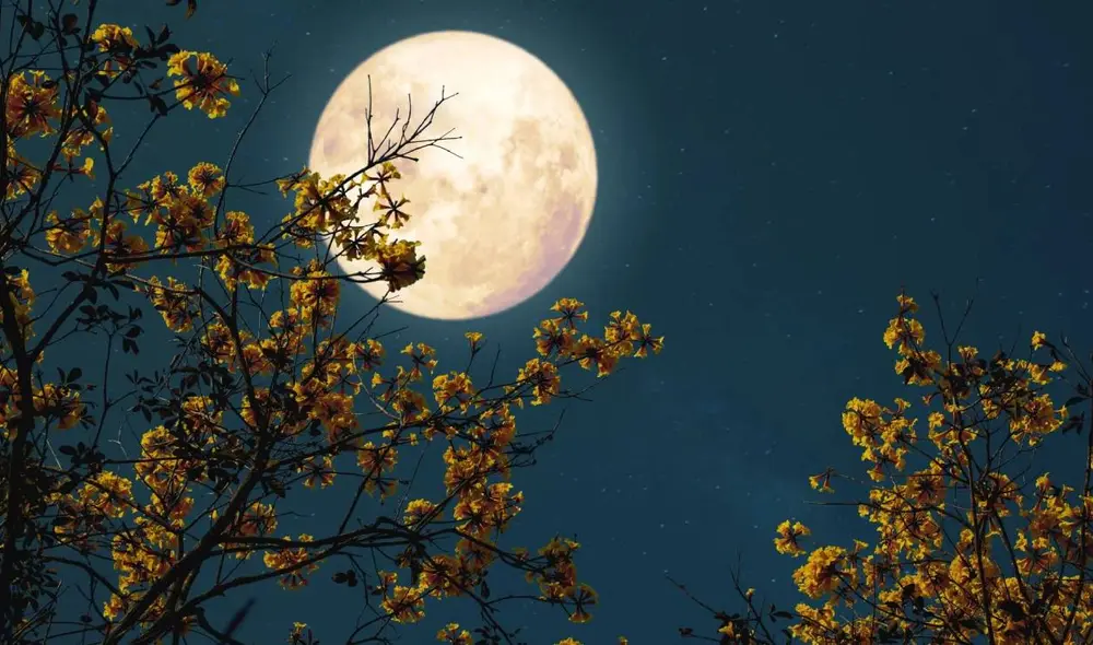 La luna de flores también se podrá ver en Colombia. Foto: AFP La luna de flores también se podrá ver en Colombia. Foto: AFP