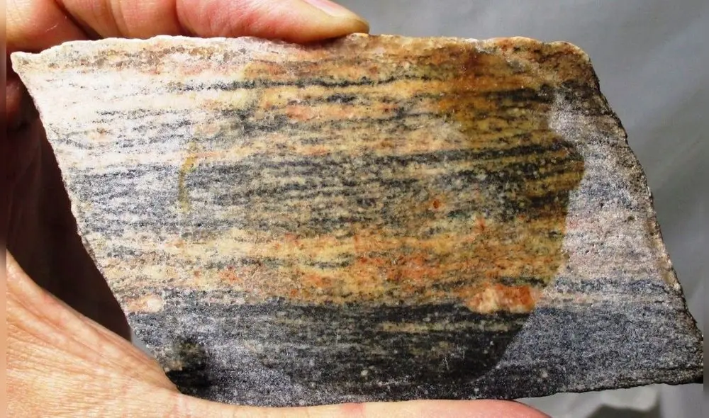 El descubrimiento permitió obtener información crucial sobre las condiciones extremas de la Tierra primitiva. Foto: Worth Point