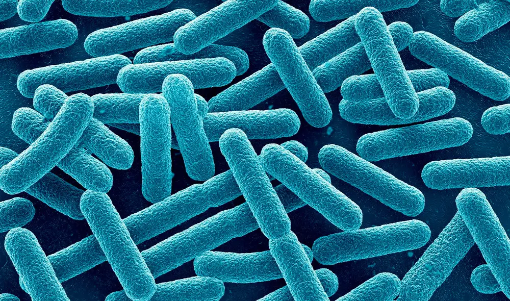 Brote de listeria en California y Nevada obliga a retirar productos listos para consumir en Estados Unidos. Brote de listeria en California y Nevada obliga a retirar productos listos para consumir en Estados Unidos.