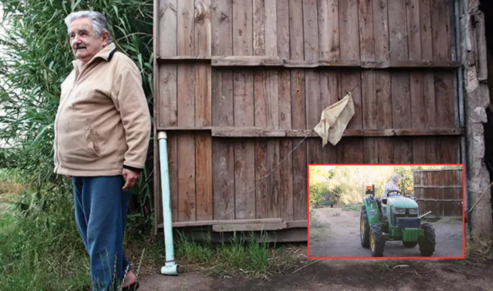 El expresidente uruguayo rechazó privilegios, donó gran parte de su salario como presidente y vivió siempre en su humilde chacra en Rincón del Cerro, junto a su compañera de vida, la exsenadora Lucía Topolansky. Foto: composición LR/RevistaMagisTESO El expresidente uruguayo rechazó privilegios, donó gran parte de su salario como presidente y vivió siempre en su humilde chacra en Rincón del Cerro, junto a su compañera de vida, la exsenadora Lucía Topolansky. Foto: composición LR/RevistaMagisTESO